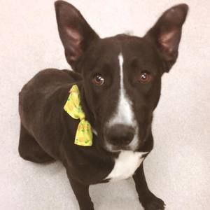 Meet your Posher, Lyn